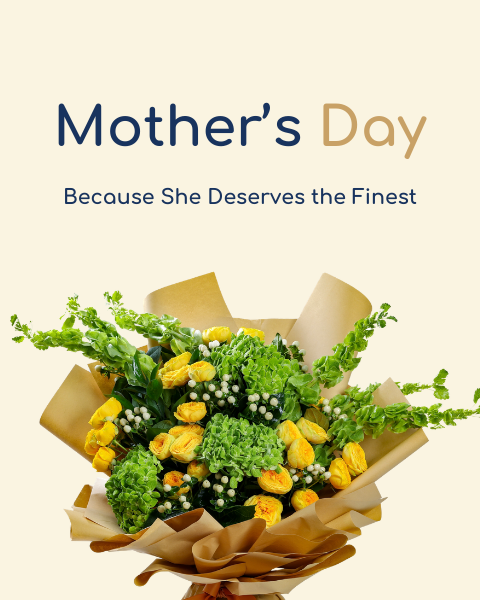 FnF Webiste Banner (33)