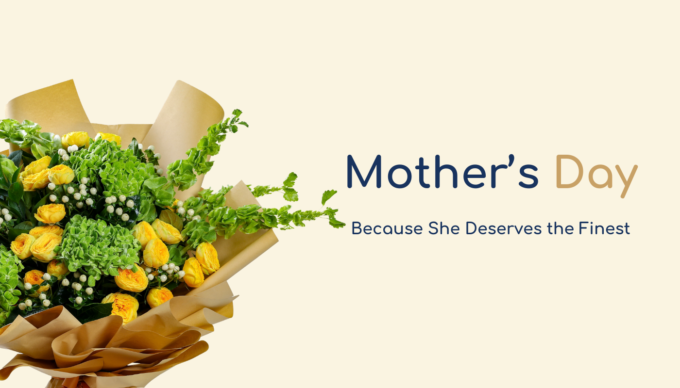 FnF Webiste Banner (35)