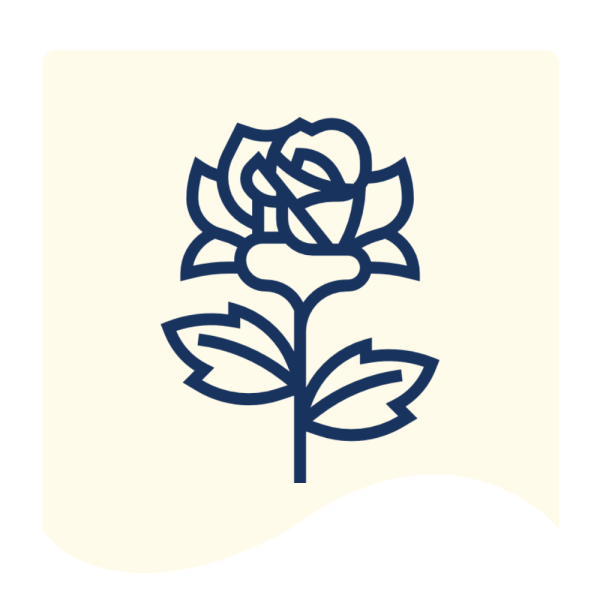 FnF Webiste Banner (14)