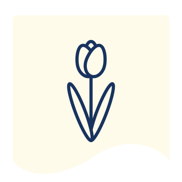 FnF Webiste Banner (15)