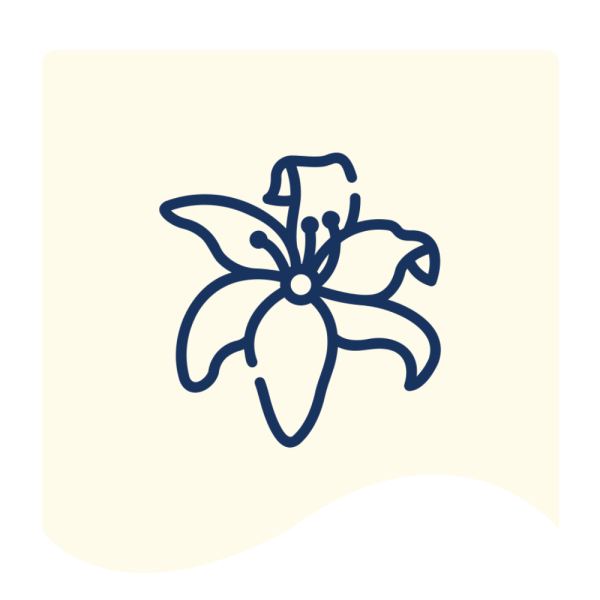 FnF Webiste Banner (16)