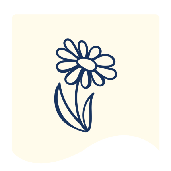 FnF Webiste Banner (17)