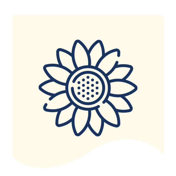 FnF Webiste Banner (18)