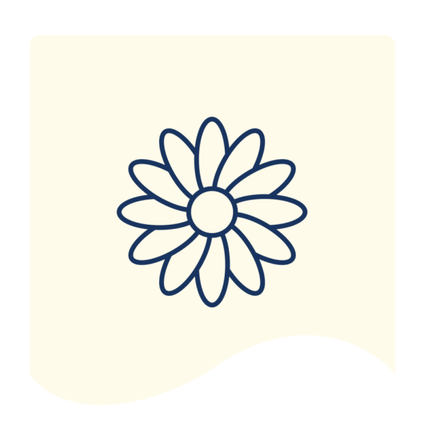 FnF Webiste Banner (20)